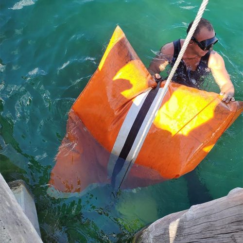 Specialized-Services-3